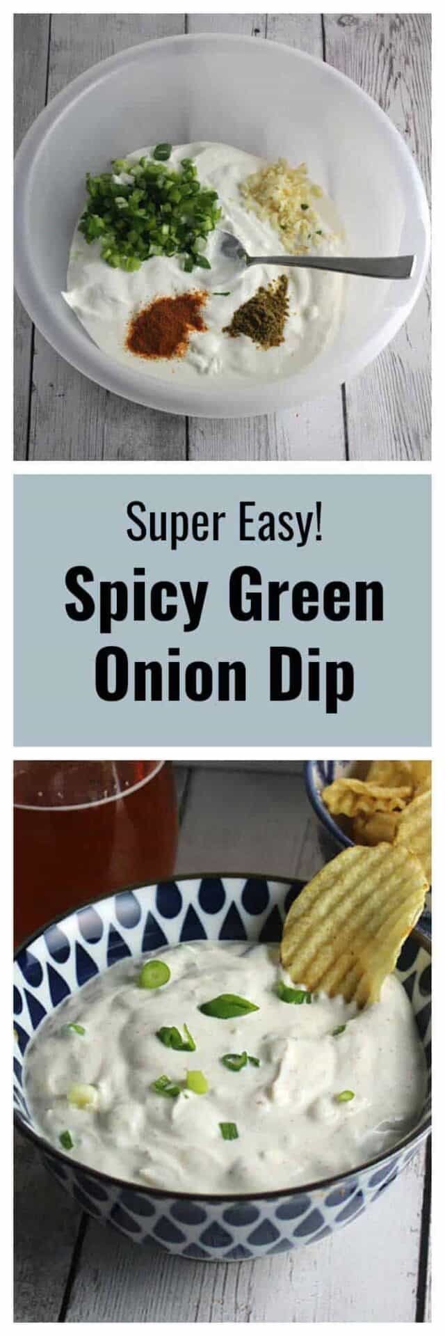 Super Easy Spicy Green Onion Dip Cooking Chat