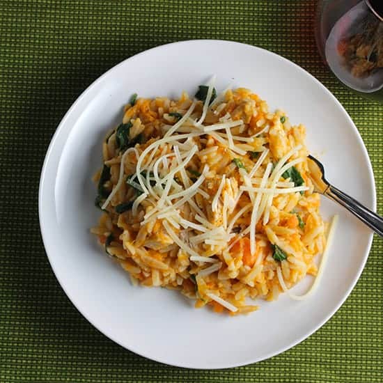Orzo with Leftover Turkey and Sweet Potatoes makes a tasty use of leftover turkey!