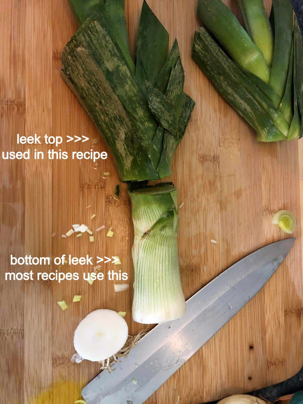 diagram of a leek plant