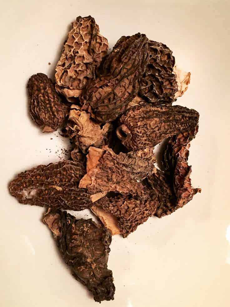 morel mushrooms can be made into a good sauce for turkey.