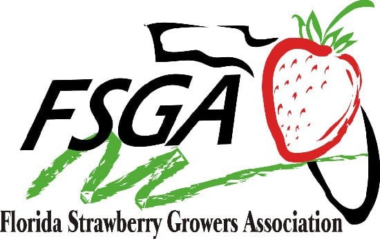 FSGA logo