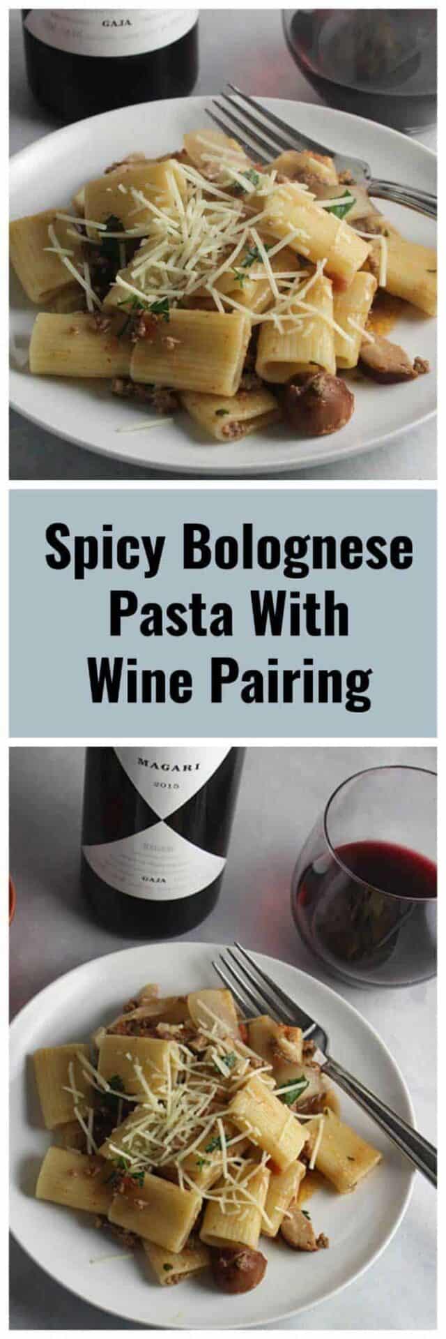 Spicy Bolognese Pasta with Wine From Ca' Marcanda WineStudio Cooking