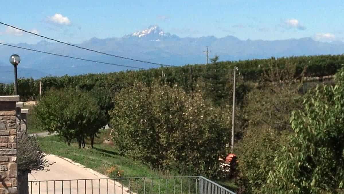 view from Anna Maria Abbona winery in Northern Italy.