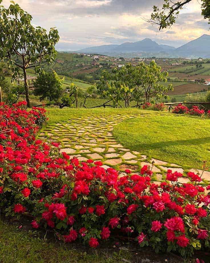 View from Emidio Pepe winery in Abruzzo, Italy. #Abruzzo #ItalianWine