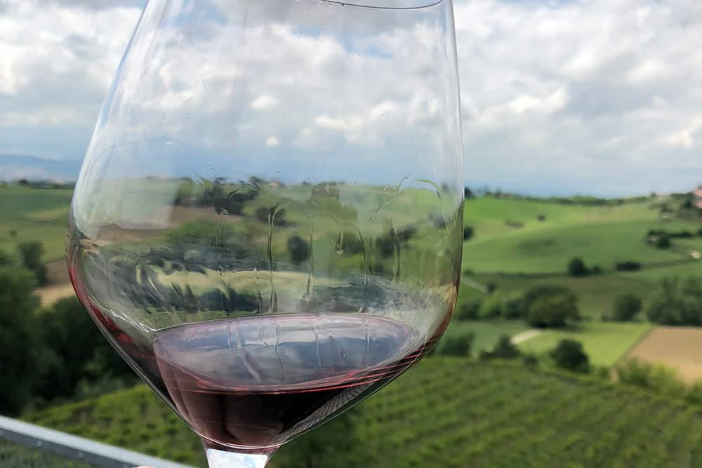 glass of red wine with vineyard in background.