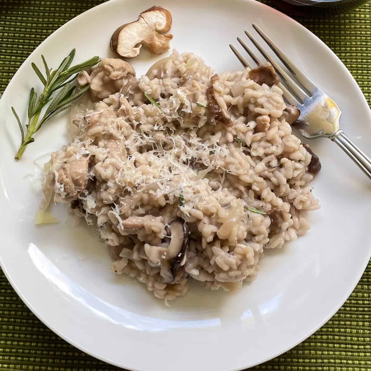 mushroom and chicken risotto on a white plate with a sprig of rosemary on the side.