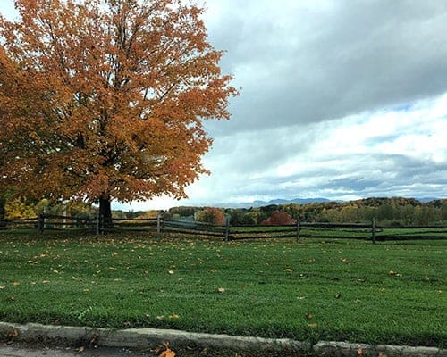 fall colors in Shelburne, Vermont