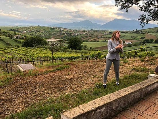 view of the vineyard and mountains at Emidio Pepe winery in Abruzzo.