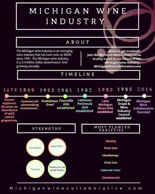 Infographic about Michigan wine.