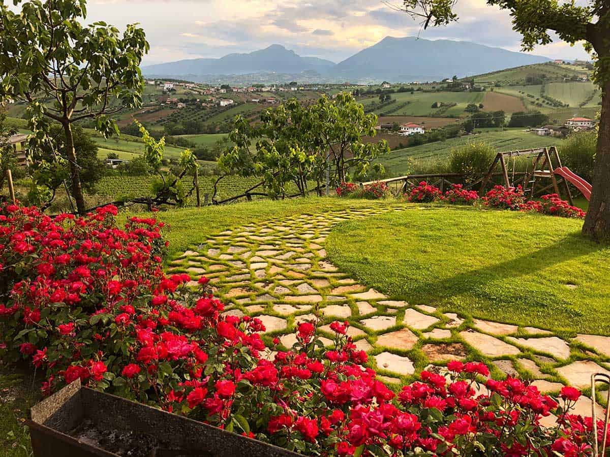 Abruzzo winery with roses in foreground and mountains in the distance.