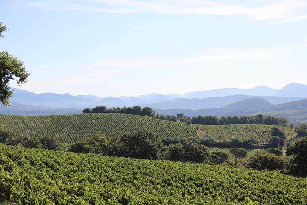 View from a a vineyard in Rasteau.