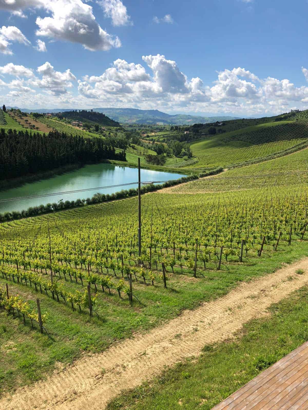 view at Nicodemi winery in Abruzzo, Italy.