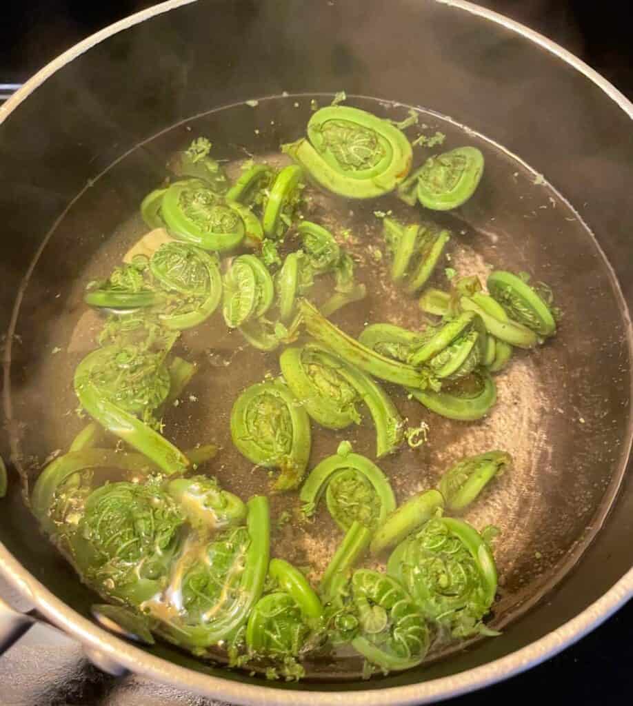 boiling ferns in a small pan.