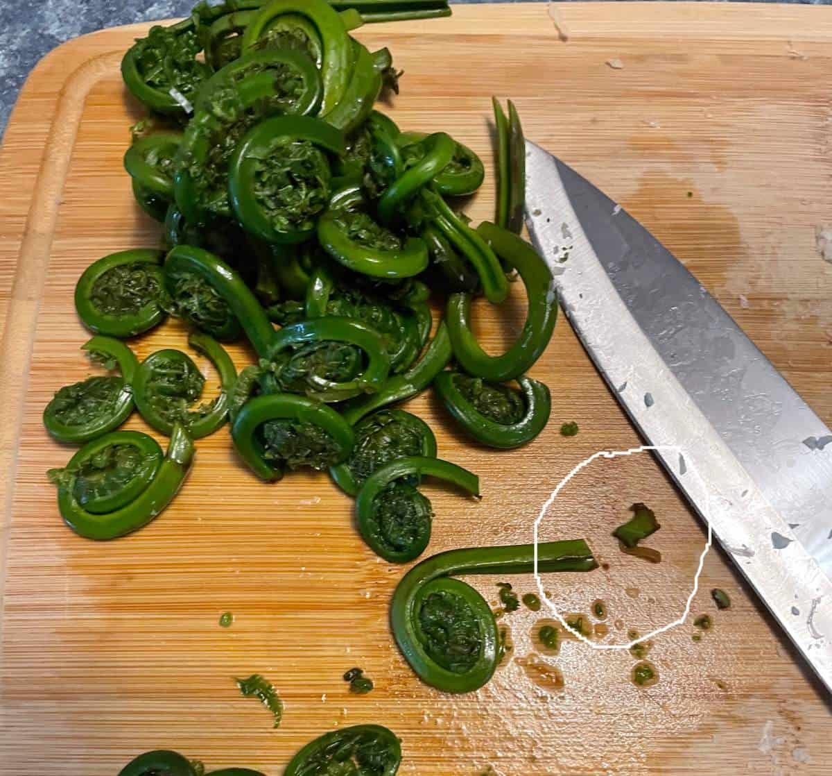 trimming the brown ends off fiddlehead ferns on a cutting board.