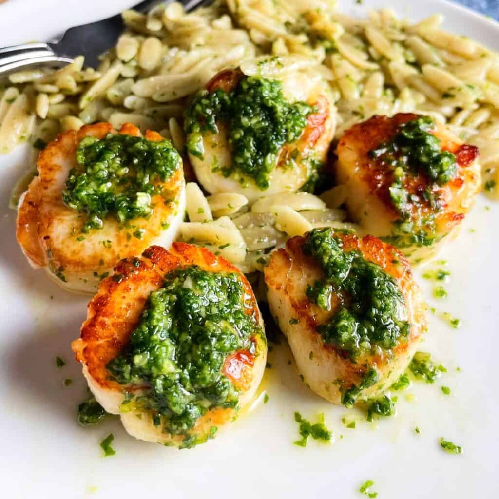 closeup photo of pan seared scallops topped with pesto, served with orzo pasta.
