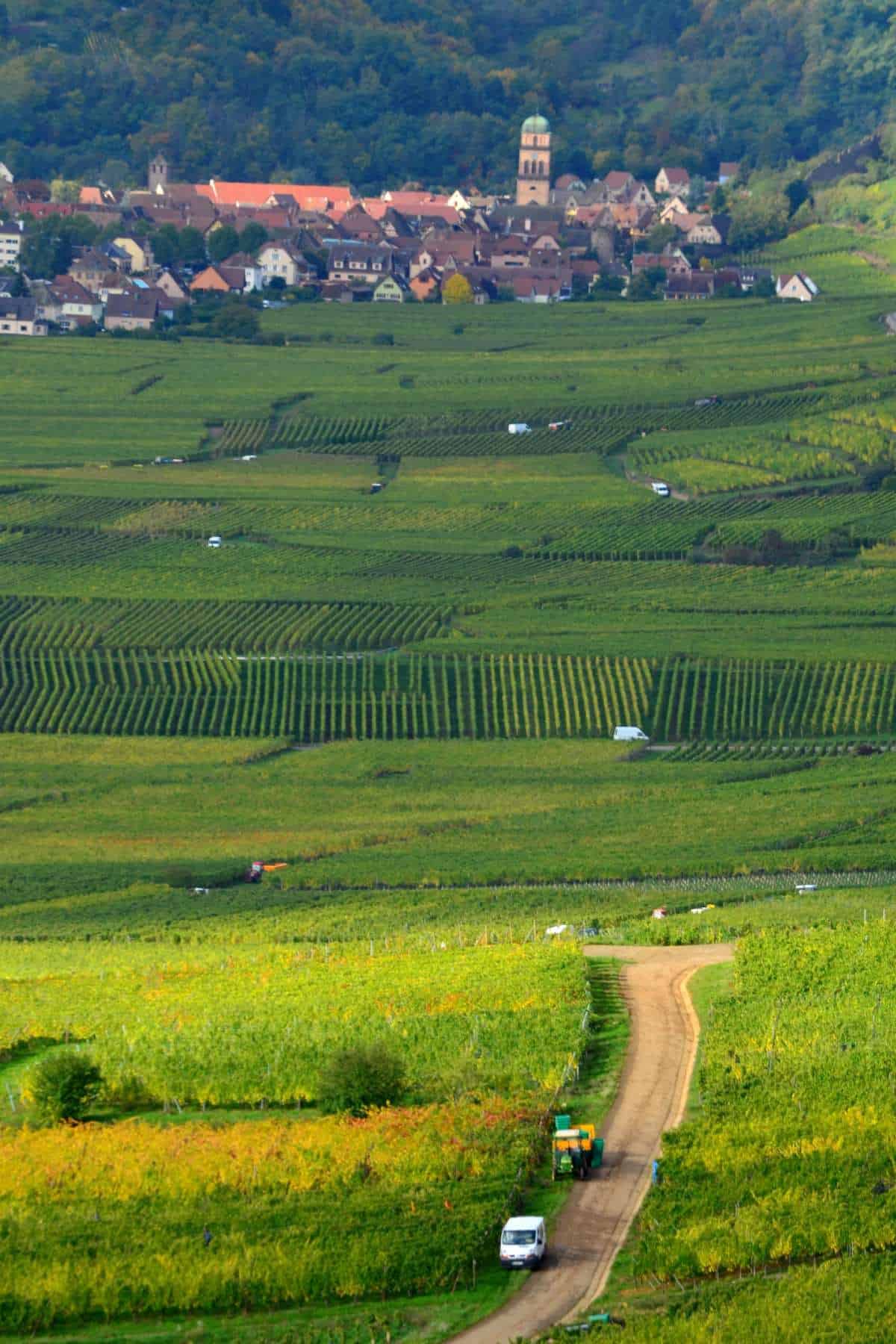 farmland and vineyards along the Alsace wine route, with a village in the background.