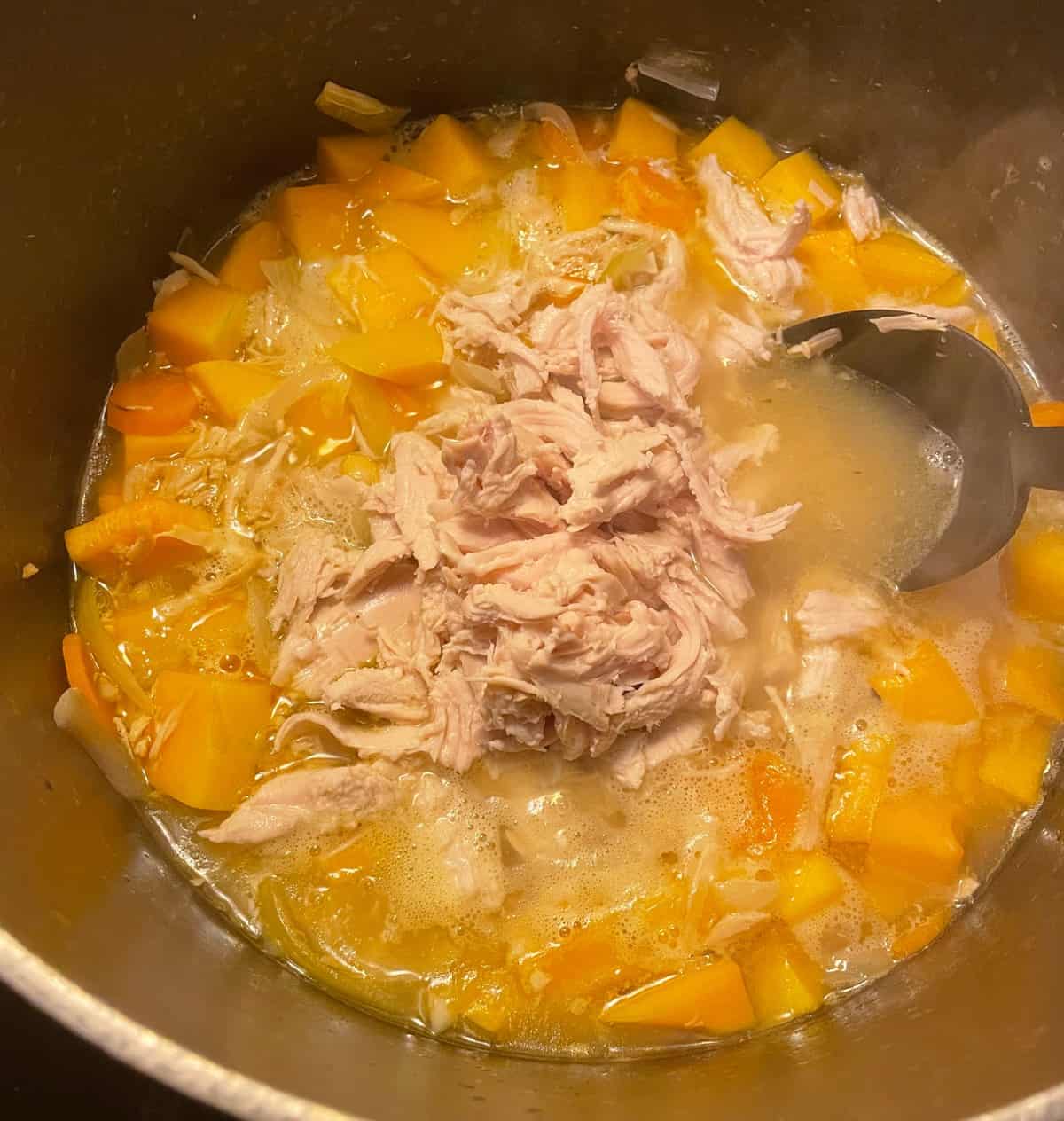 stirring turkey into soup pot