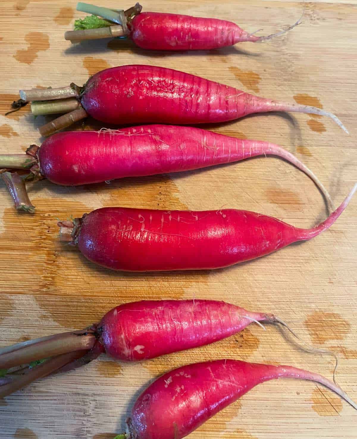 Red radishes on a cutting board after cleaning them.