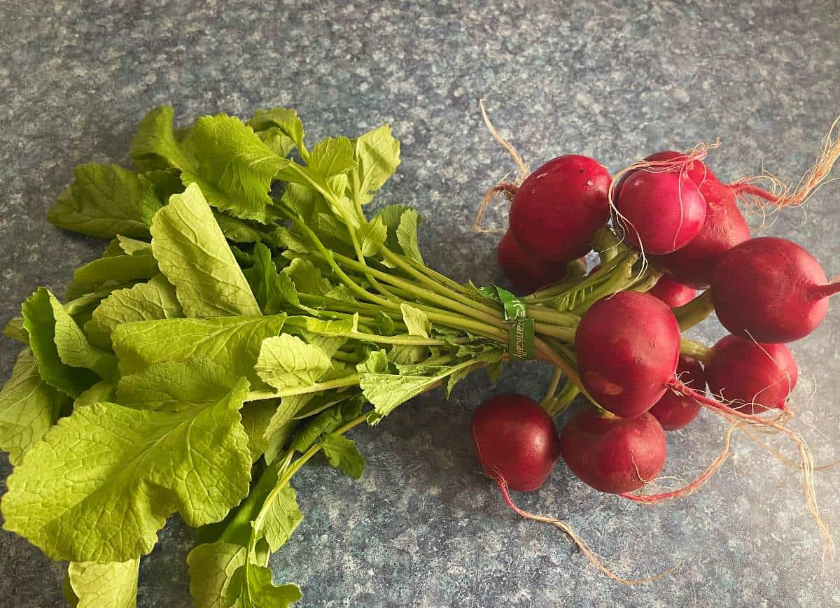 a whole radish plant on a counter, with the greens attached to the bulbs.