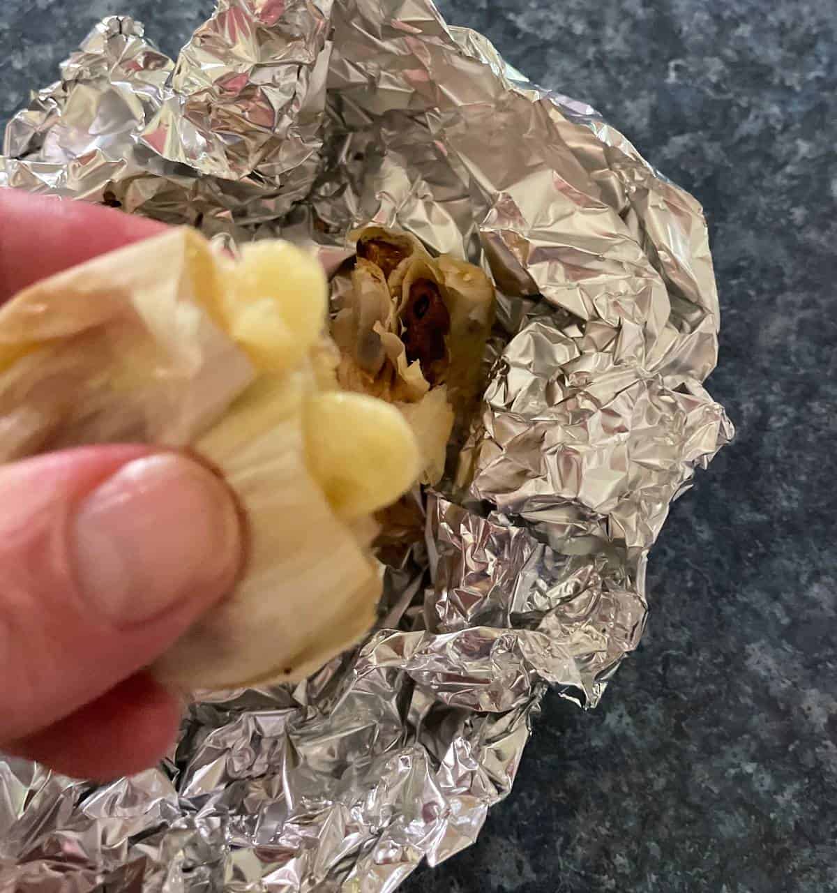 squeezing roasted garlic out of the skin, above the aluminum foil in which it was roasted.