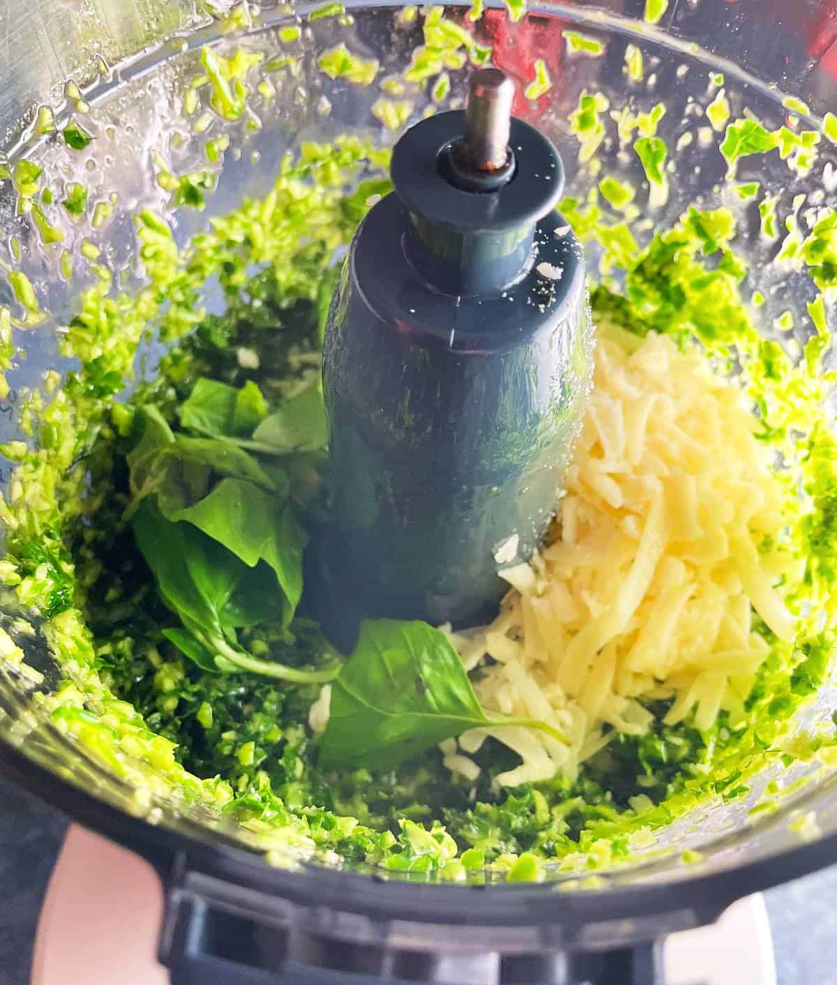 adding cheese and basil to garlic scape pesto in a food processor.