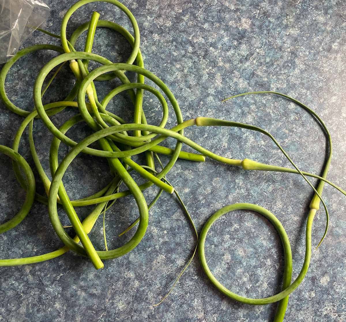 garlic scapes on a blue counter top.