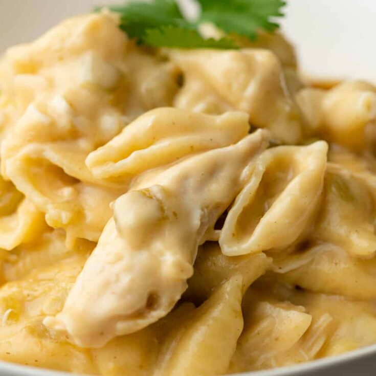 Image for Green Chile Chicken Pasta