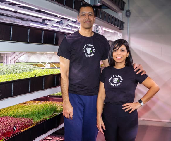 Uday and Smita, co-owners of Giant Gorilla Greens, pose at the microgreens farm.