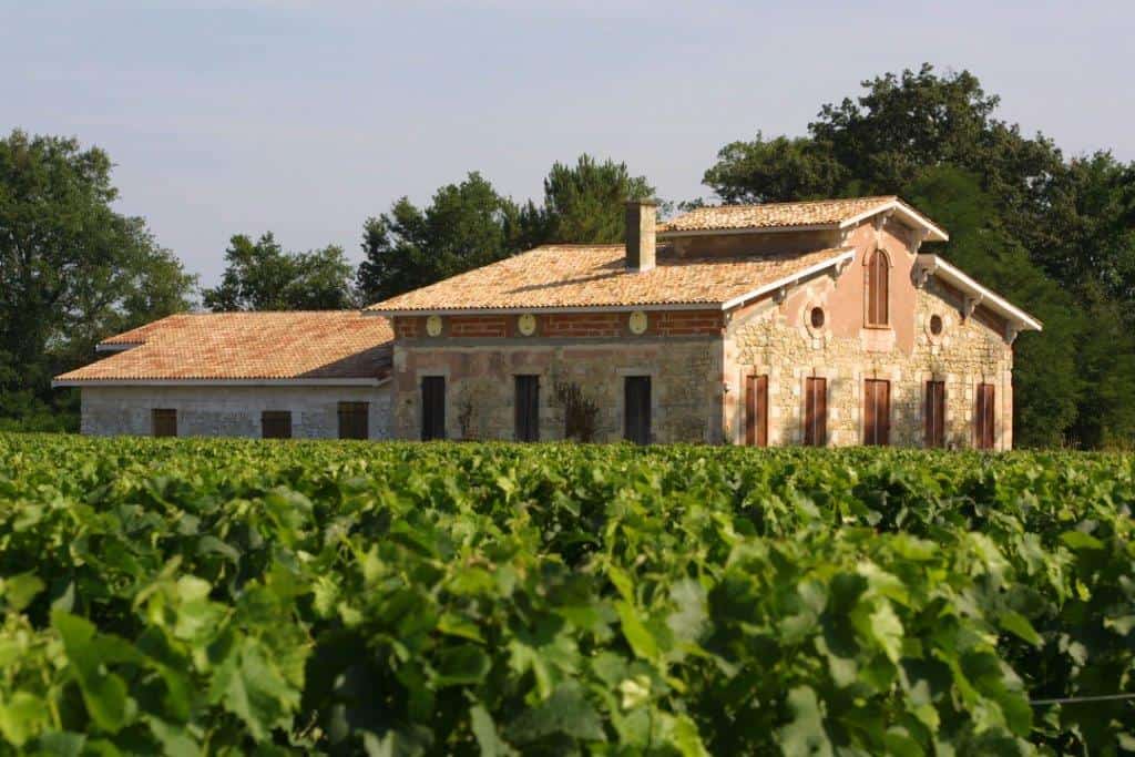 A photo of Chateau Langlet in Graves, France, with grape vines in the foreground.