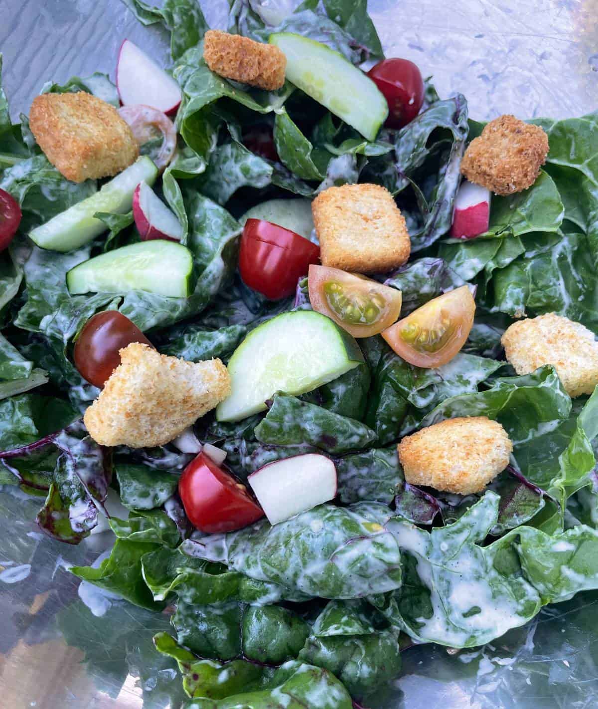swiss chard salad