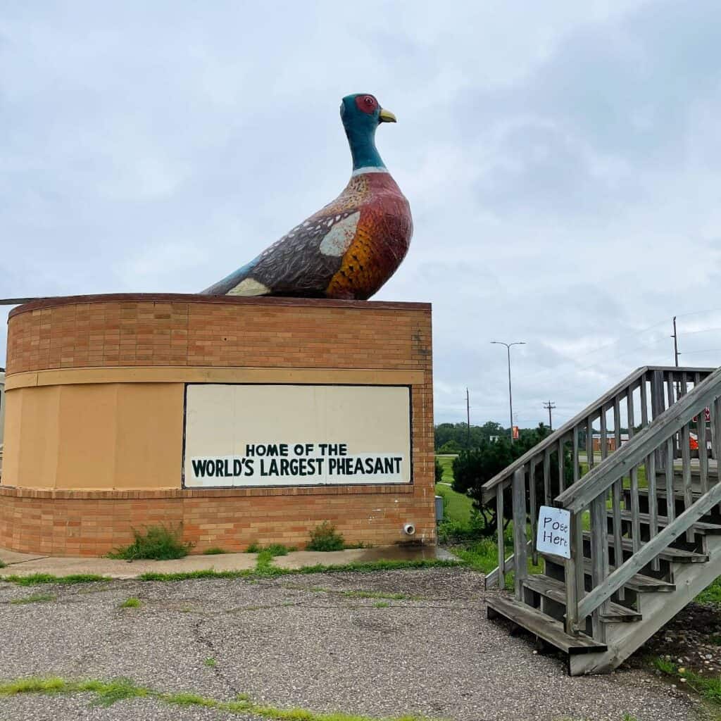 photo of the world's largest pheasant statue in Huron, SD.