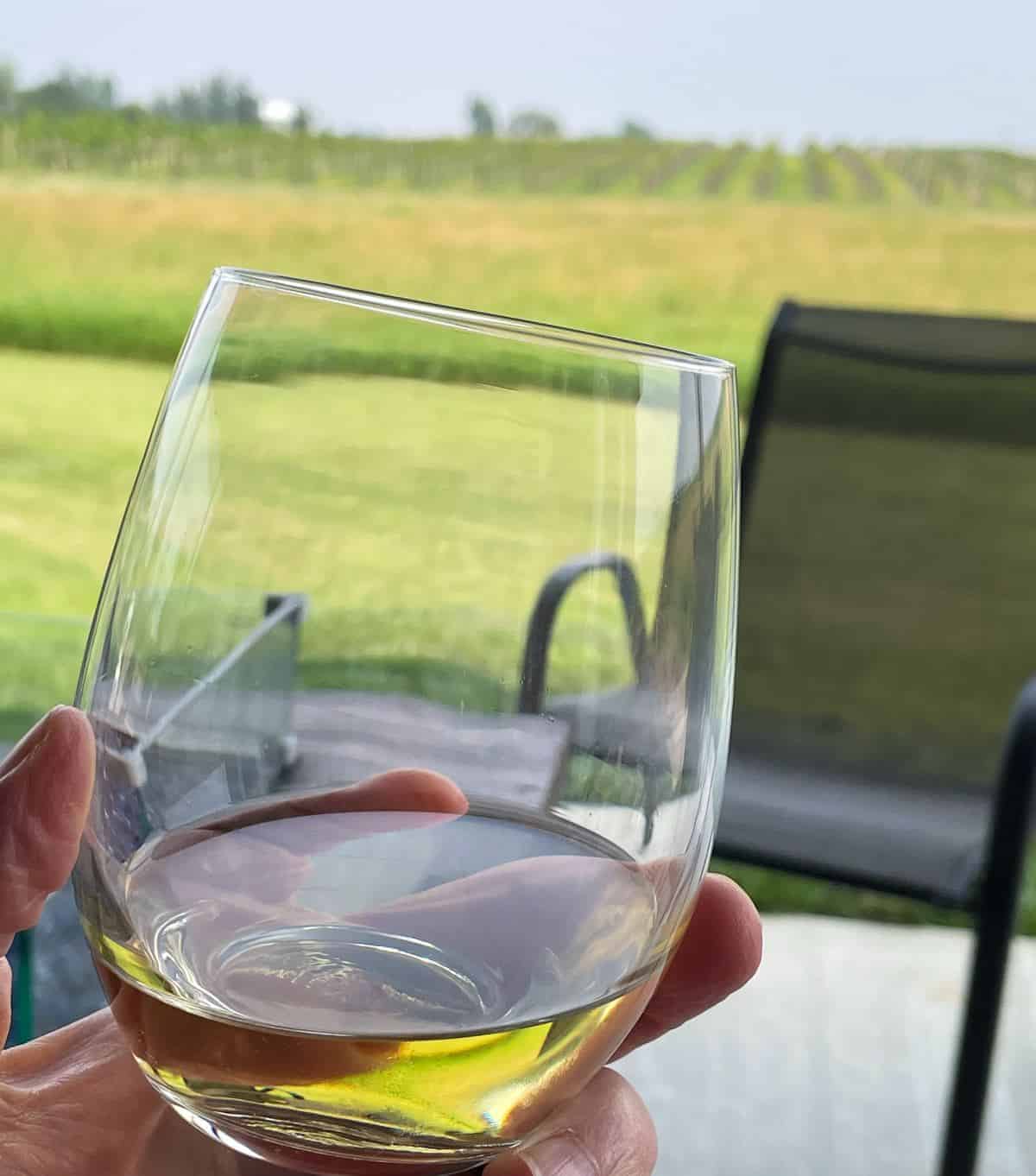 glass of white wine with views of the Huron South Dakota grapevines in the background.