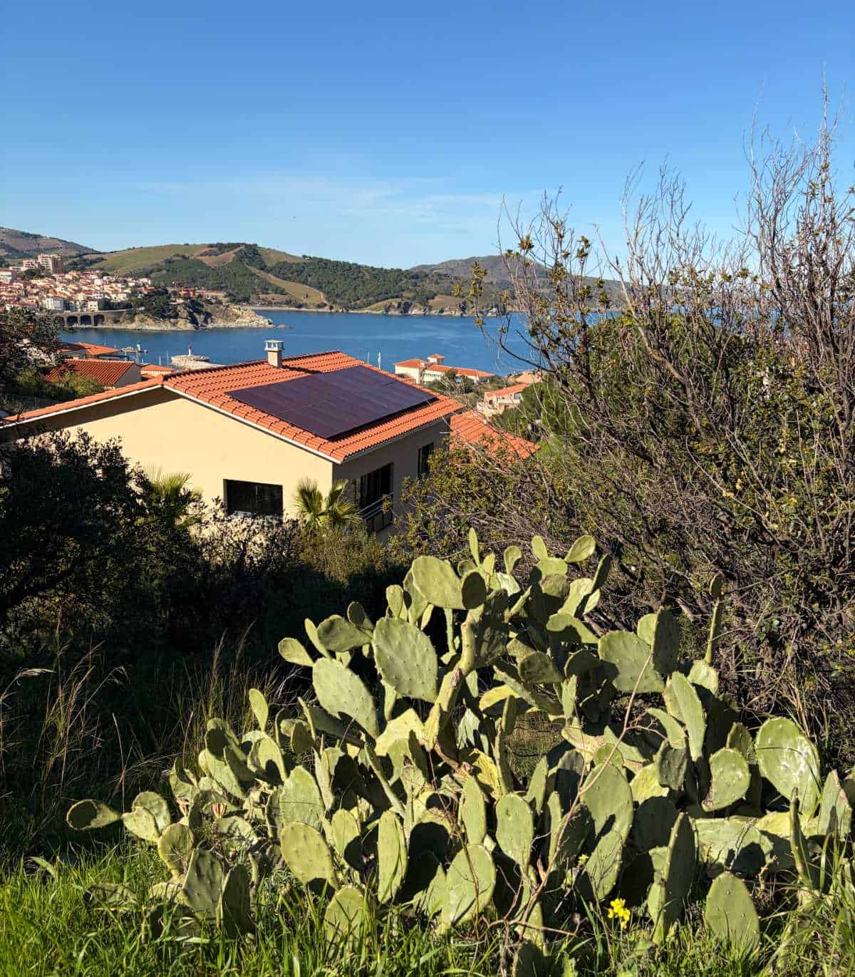 a cactus and home in the foreground, and the sea by Banyul sur Mer in the background.