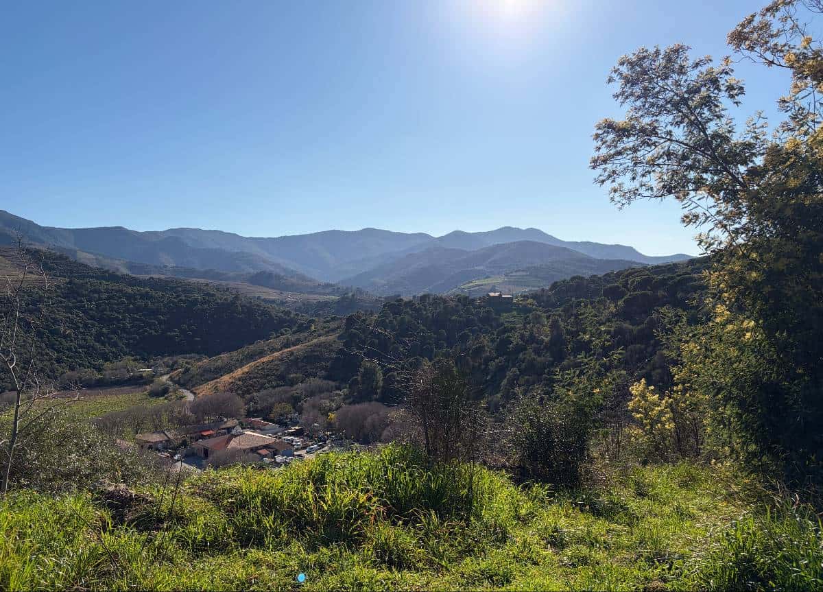 Hills on the way to a winery outside Banyuls-sur-Mer.