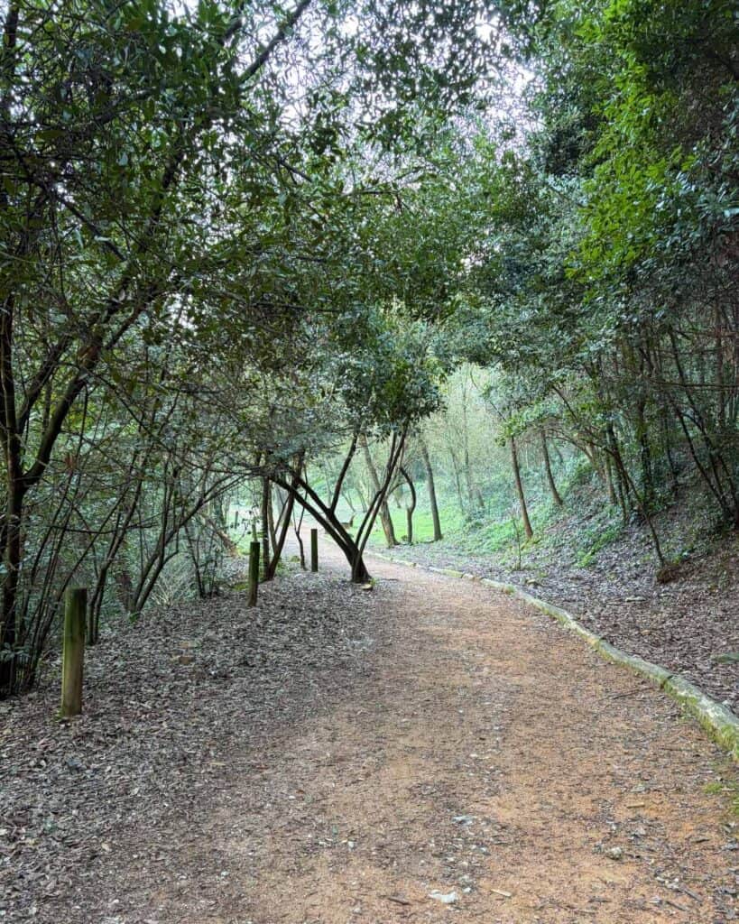 A nature trail in Girona.