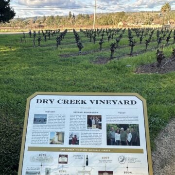 dry creek vineyard sign with the vineyard in the background.